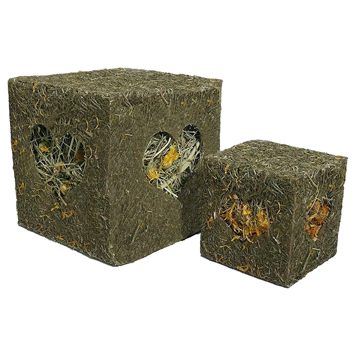Hoi Cube