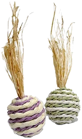 Wacky Rollers