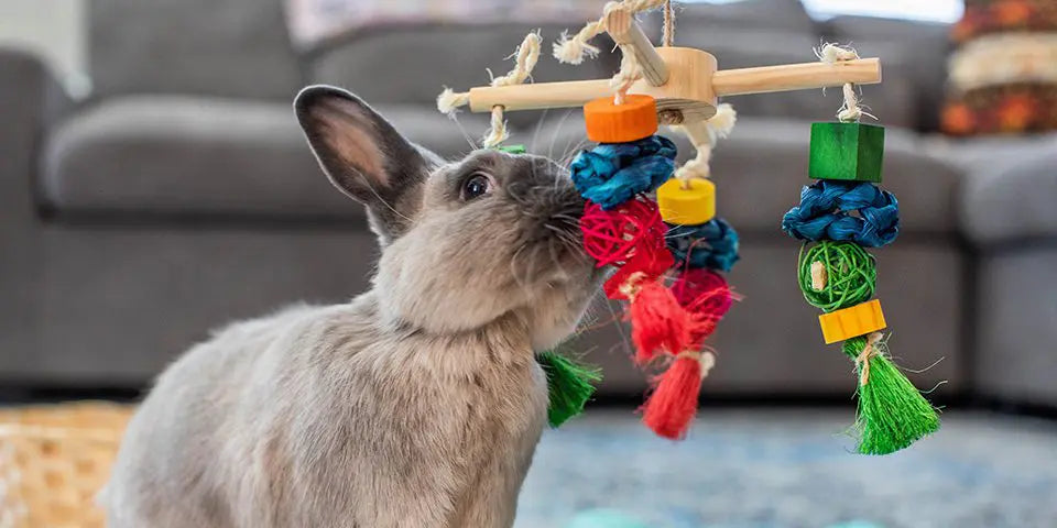 Enrichment