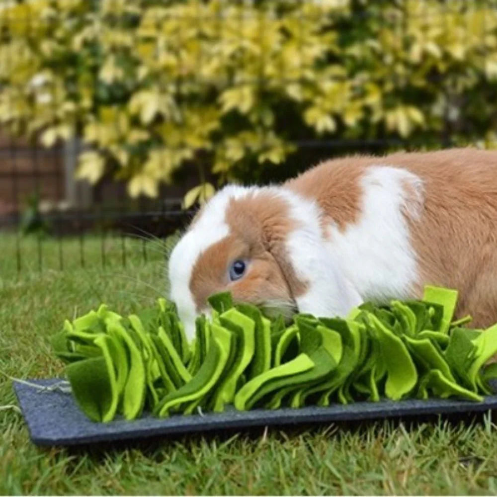 Forage