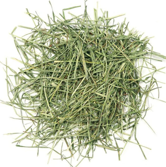 Timothy Hay Box 'Blend'