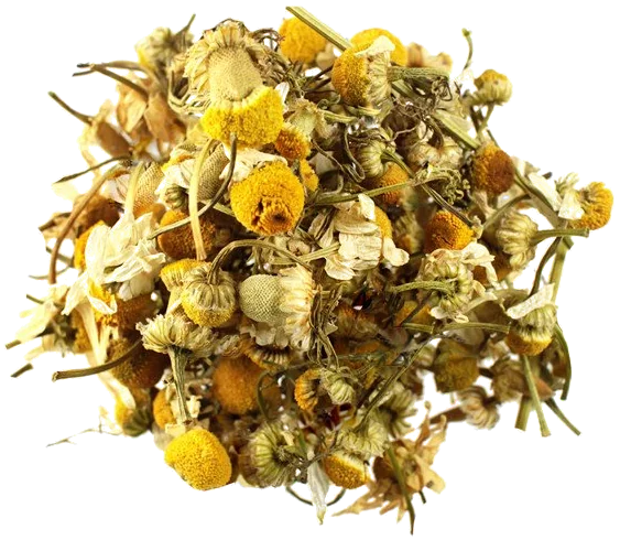 Kamillebloemen