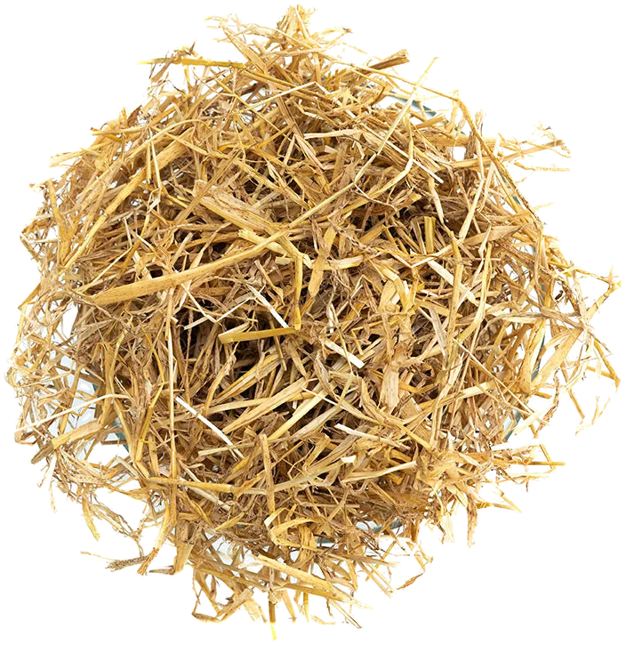 Gouden Gerstestro